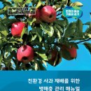 친환경 이미지