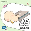 비비큐한마리반