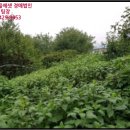 진관2리마을회관 이미지