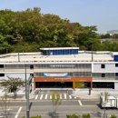 경기 주정차3 경기일보