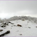 안성리-3 이미지