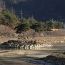 괴산 군민가마솥 옆 이미지