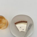 카페네스트
