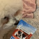 바비덴탈 이미지