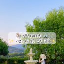 프티트자르뎅 이미지