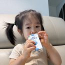 우보유통 | 27개월아기 우유 간식 매일우유 mini 125ml 신제품 후기