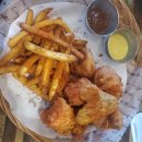 트레비어 이미지