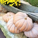 창대세탁소 이미지