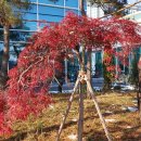 구리역광장 이미지