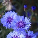 수레와바퀴 이미지