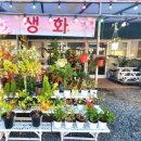 사계절판매장