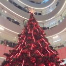 맥태권도장 이미지