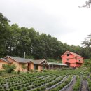 다원펜션 이미지