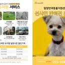 썬샤인유치원 이미지