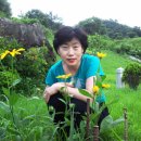 여름향기 이미지