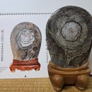 하늘에뜻 이려니...No. 52＜시그널 있음＞ 이미지