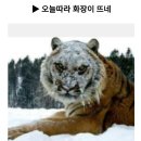 (주)바이탈오투