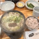 기차우컴퓨터세탁소 | [일상] 할리갈래말래