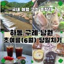 CU구례정원점 | 하동·구례·남원 당일치기 여행 일기 | 6월초 계곡 물놀이부터 맛집, 카페까지 알찼던 하루 (feat...