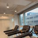 위너블 피티 앤 필라 이미지