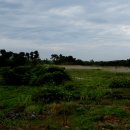 고성리-15 이미지