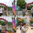 성모자애복지관 직업재활센터 이미지