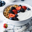 그릭요거트( Greek Yogurt)