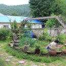 오실제민박 이미지