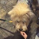 적산개발 | ⭐️슉슉서울_공덕 위스키 맛집 추천, 공덕 타파스 바 슉슉서울 솔직 후기, 주차 등