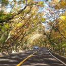 초록숲민박 이미지