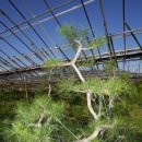 소나농장 이미지