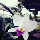 진장농장 이미지