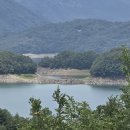 게으른 악어 이미지