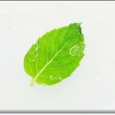 하늘정보통신 이미지
