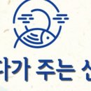 바다건어물 이미지