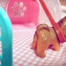 강이네펫샵 이미지