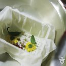 의야지바람마을 이미지