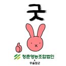 법인청춘
