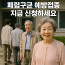전주시 보건소 평화보건지소 | 65세 이상 폐렴구균 무료 예방접종, 신청방법, 예방접종후 관리! 전주 접종 병원·보건소 안내