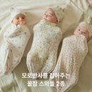폰코니 이미지