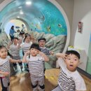 오치카리타스어린이집 이미지