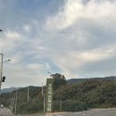 힐링노래교실 | 대구 근교 캠핑장 칠곡 송정자연휴양림 야영데크 2박3일 캠핑 후기