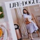 도그(DOGUE) | LIFE and DOGUE 여름호