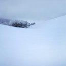 청운목장 이미지