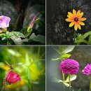 선우회관 이미지