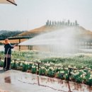 에덴의 정원 이미지