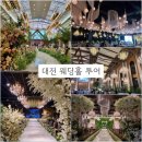 &#39;대전 웨딩홀&#39; 5개 방문 비교 후기 &amp; 투어 전 준비 (에스가든, BMK, 라포르테, 더케이, 메종드보네르)