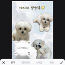 MZ따라잡기 인스타그램 이미지