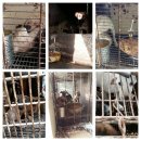 퍼스트환경 이미지