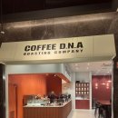 월남가든 | 커피디엔에이 Coffee D.N.A 송파ㅣ 가든파이브 현대아울렛 조용하고 분위기 좋은 카페 추천